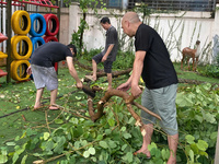 TRƯỜNG MẦM NON LÁNG THƯỢNG  THỰC HIỆN TỐT CÔNG TÁC PHÒNG, CHỐNG VÀ KHẮC PHỤC HẬU QUẢ SAU CƠN BÃO SỐ 3  YAGI